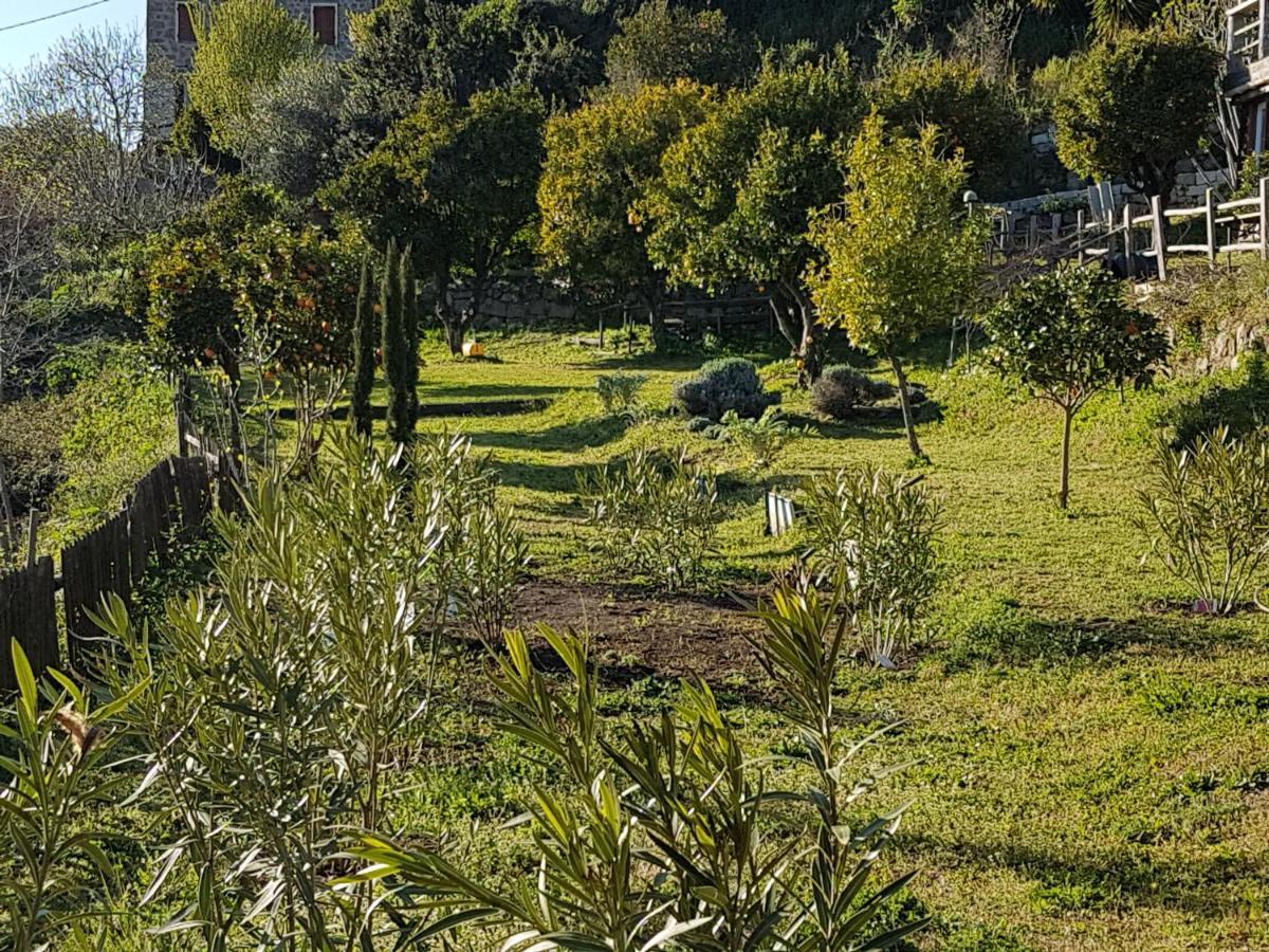 La Villa Guidi Pila-Canale Экстерьер фото